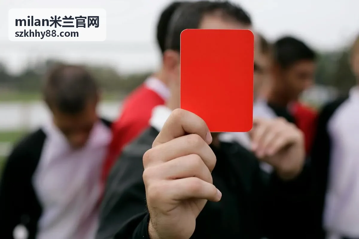 milan米兰官网图鉴里的低矮客厅与扶手椅组合